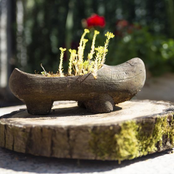 Detalle de una maceta en forma de madreña