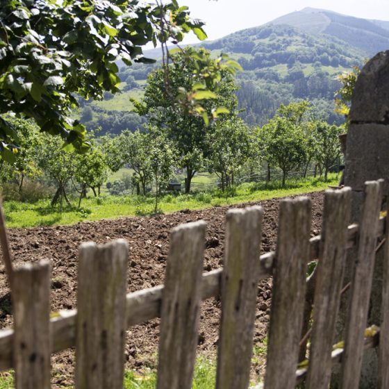Zona destinada al huerto