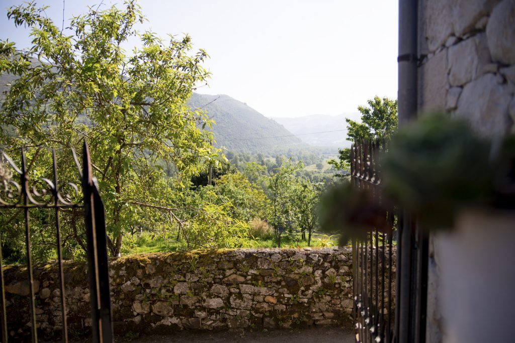 Vistas desde la puerta de la casona a la naturaleza
